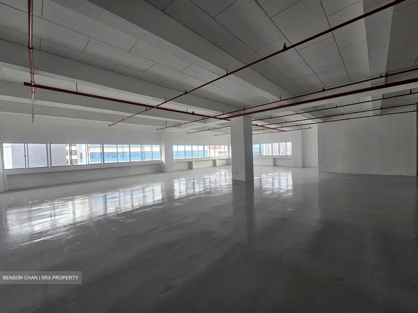 Perfect One (D13), Warehouse #567503861